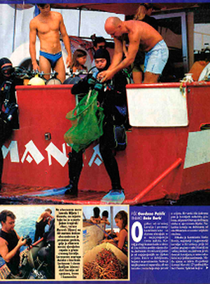 Cover image for the Arena PDF